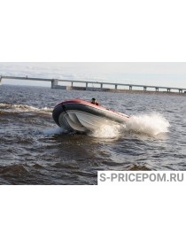 Надувная моторная лодка RIB CAT FORTIS 490