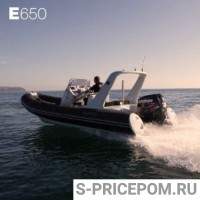 BRIG Eagle E650