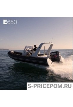 BRIG Eagle E650