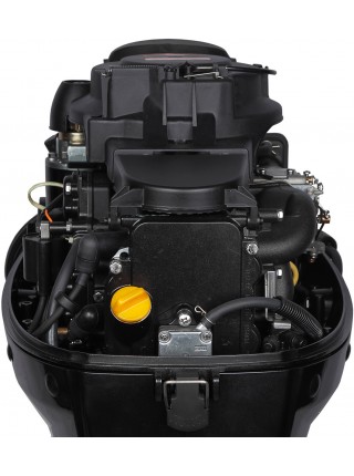 Лодочный мотор MARLIN MF 9.9 AMHS Light