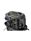 Лодочный мотор MARLIN MFI 100 AERTL