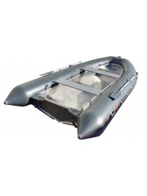 РИБ (RIB) Мнев и К Раптор М-460