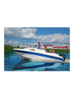 Стеклопластиковая лодка Wyatboat-Одиссей 530 C КАЮТОЙ