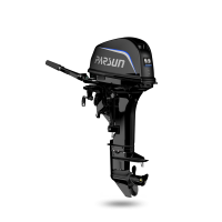 Лодочный мотор двухтактный Parsun T9.9BMS PRO без гимс