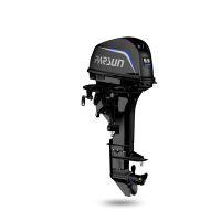 Лодочный мотор двухтактный Parsun T9.9PRO FWS без гимс