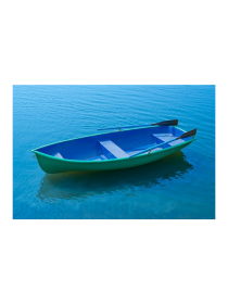 Стеклопластиковая лодка Wyatboat-Дельфин